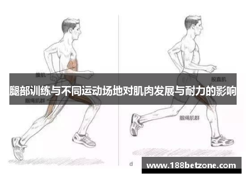 腿部训练与不同运动场地对肌肉发展与耐力的影响